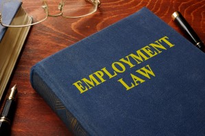 Crux Legal Employment Law